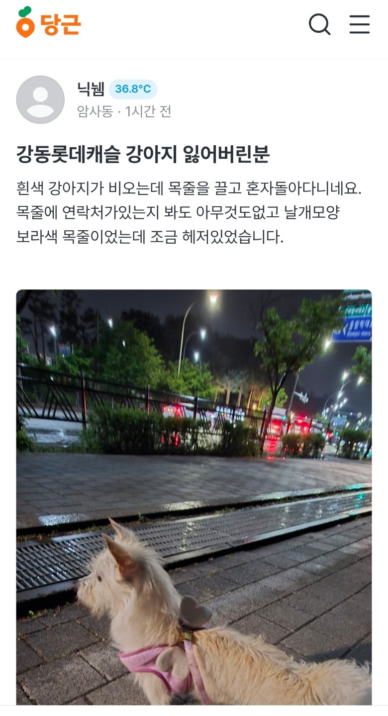 Post image 6