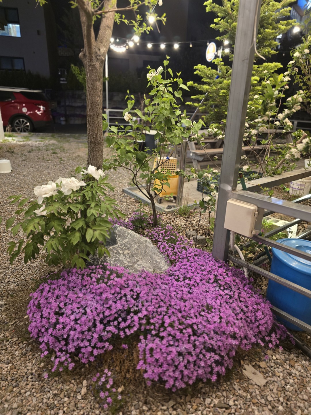 Post image 7