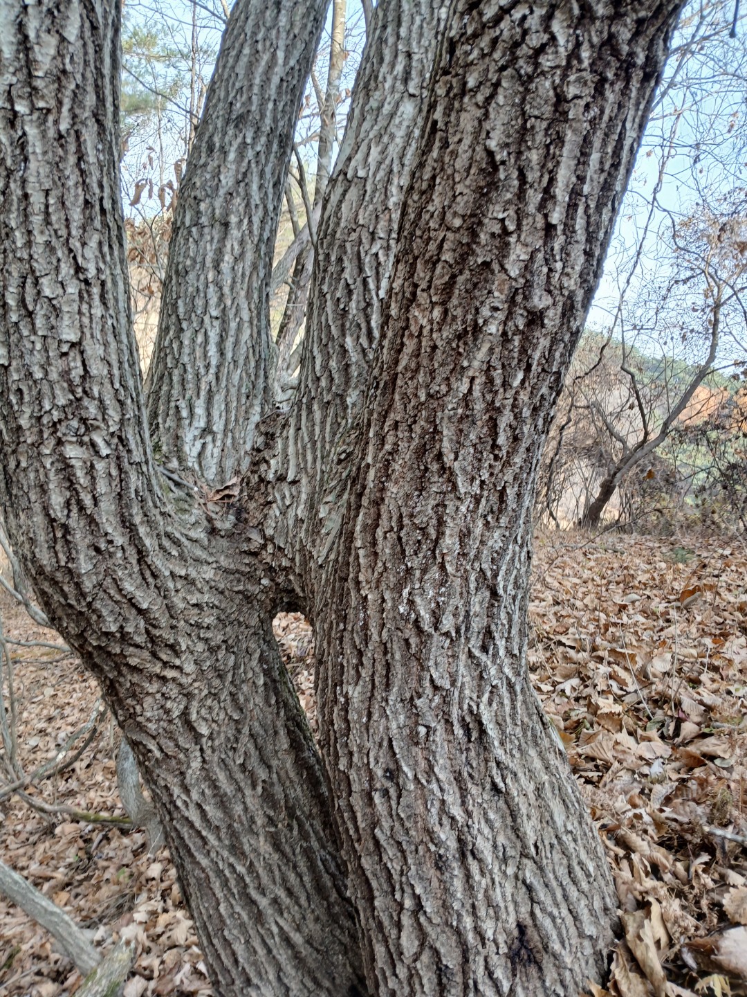 Post image 3