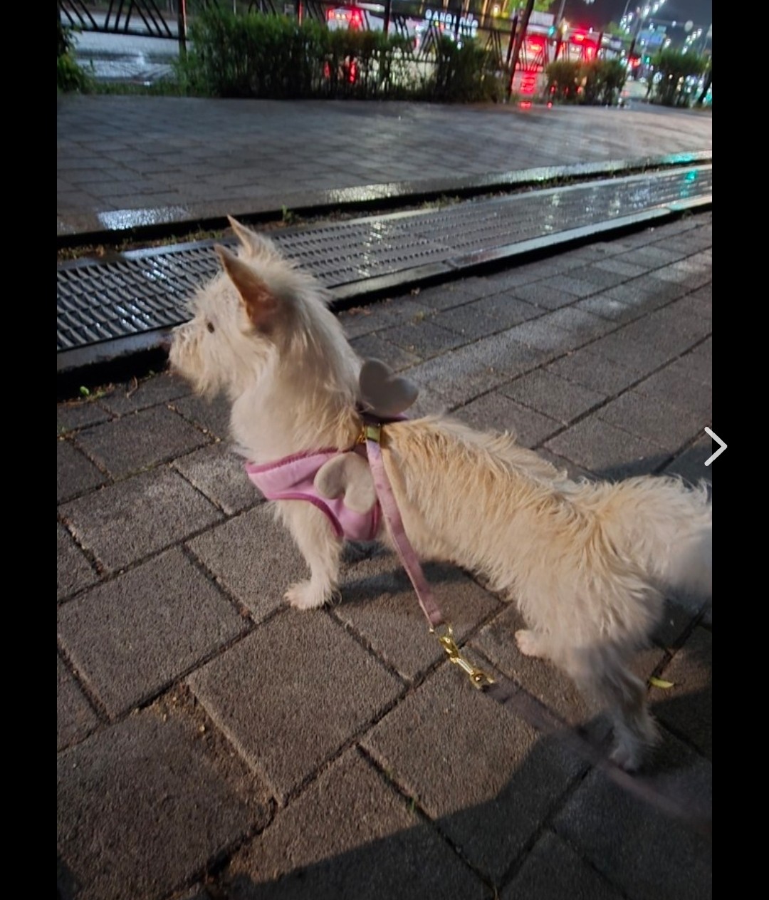 Post image 7