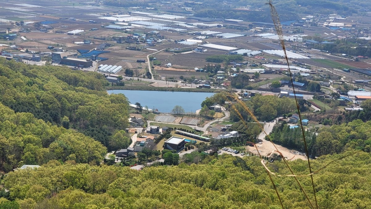 Post image 6