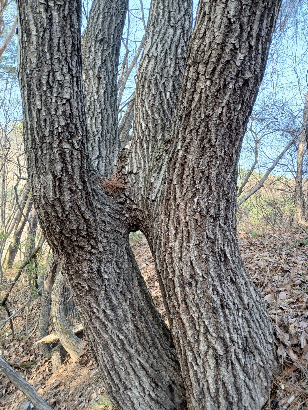 Post image 6