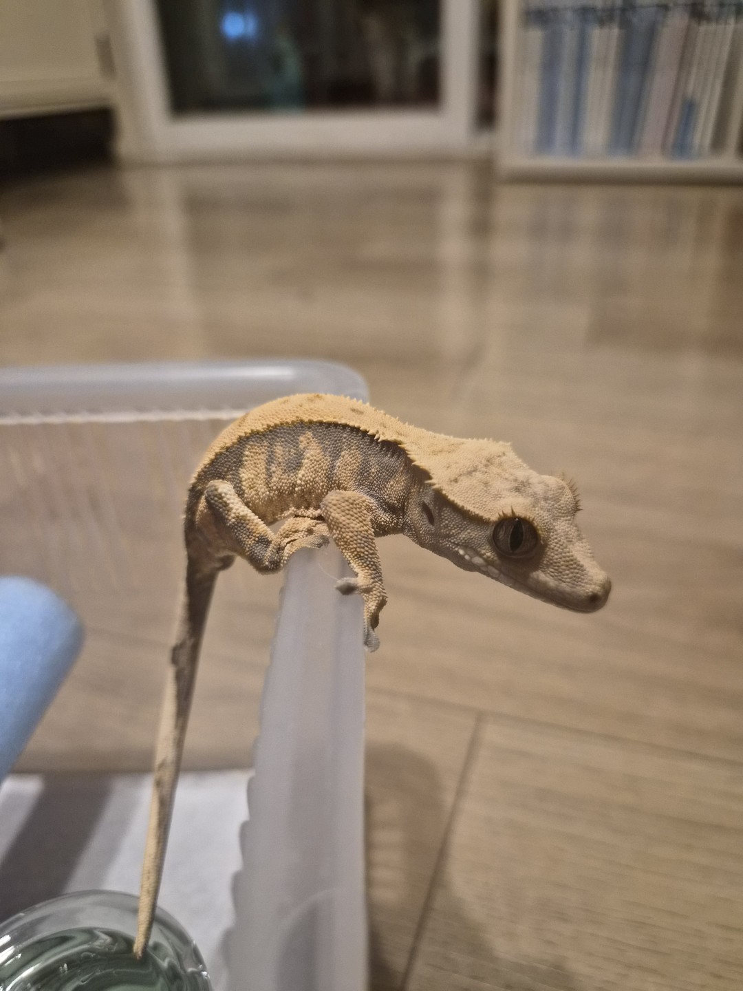 Post image 5