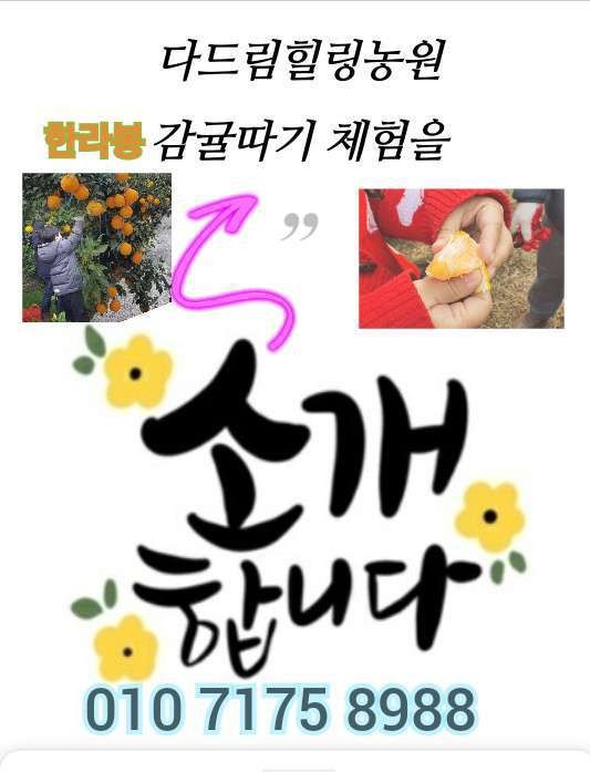 Post image 7
