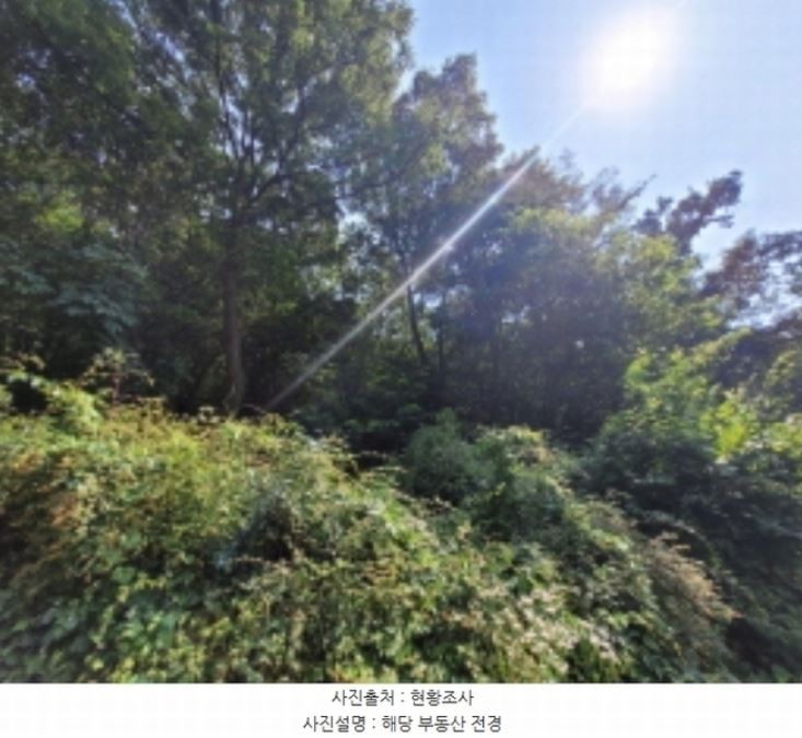 Post image 6