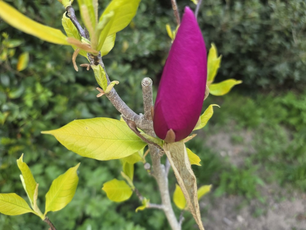 Post image 7