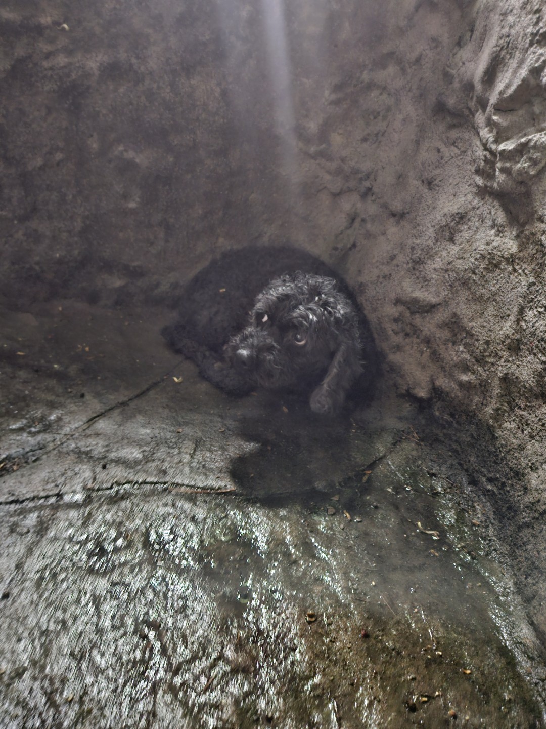 Post image 3