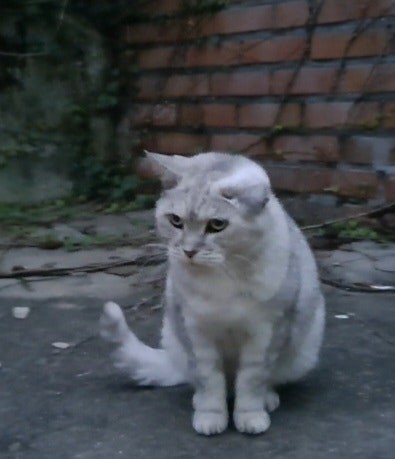 Post image 22