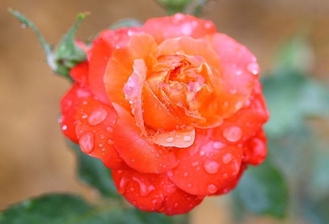 Post image 12