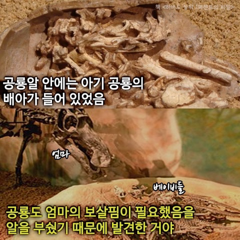 Post image 5