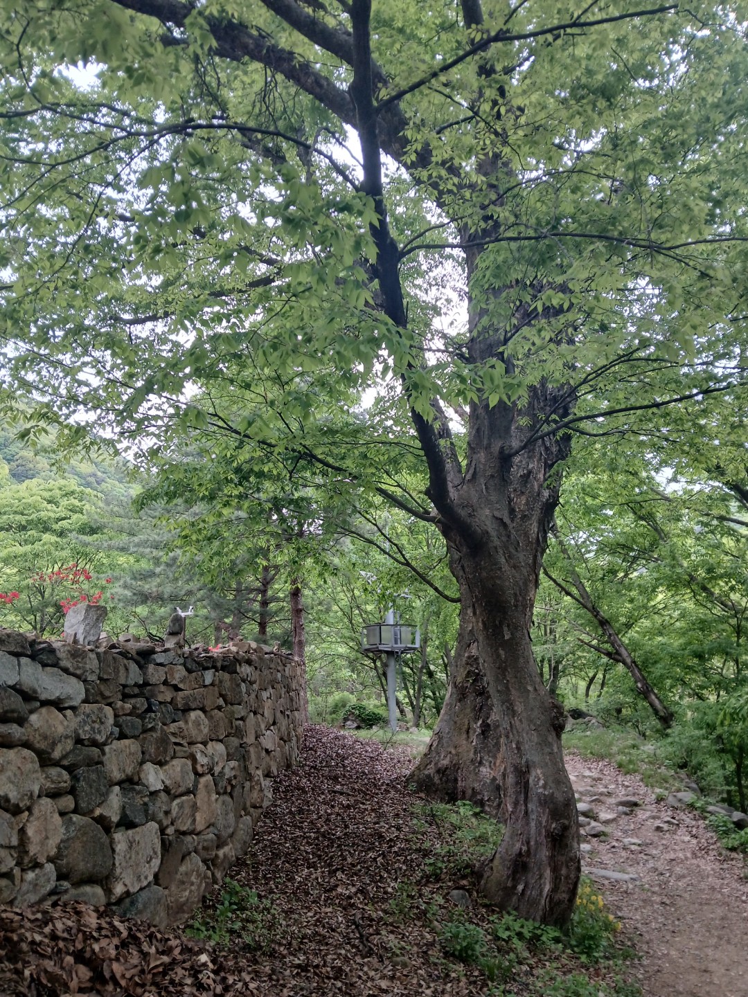 Post image 5
