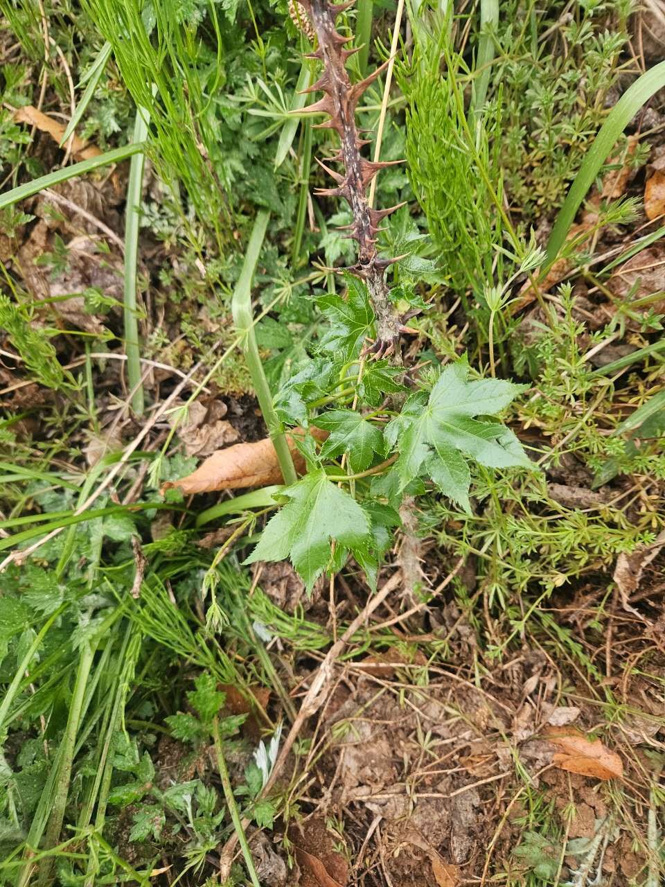 Post image 6