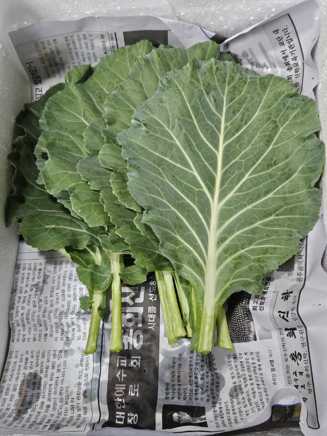 Post image 5