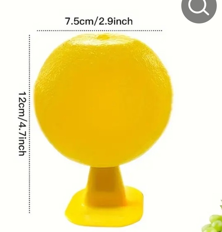 초파리 싫어요~