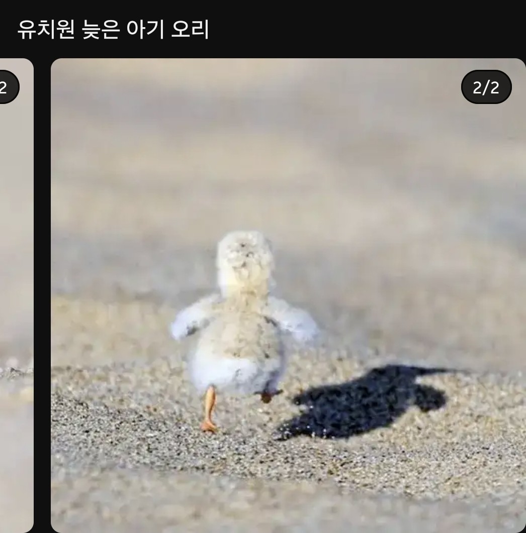 Post image 2