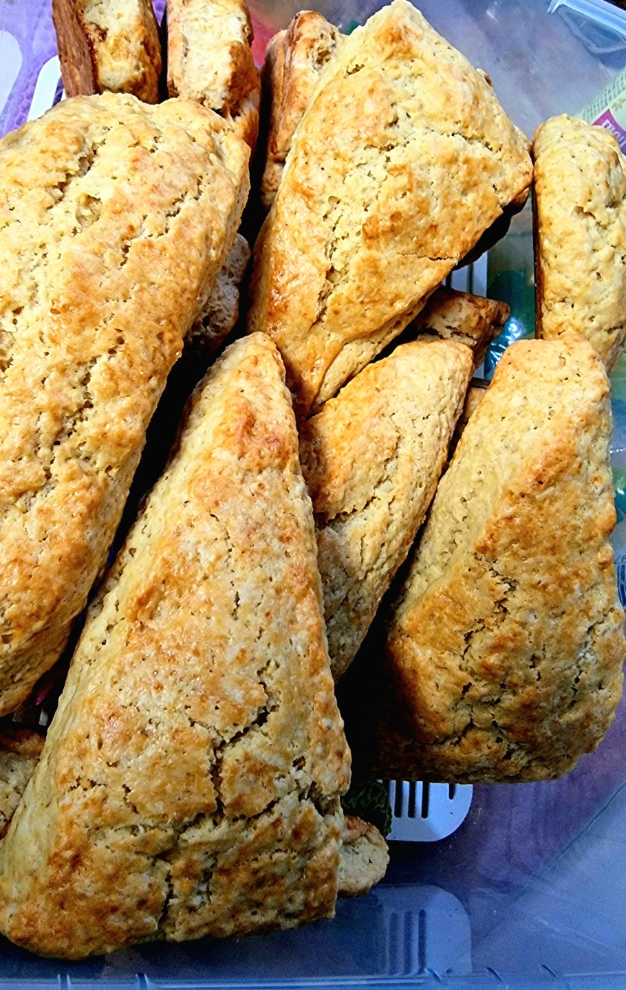 과자 강좌에 다녀왔어요.