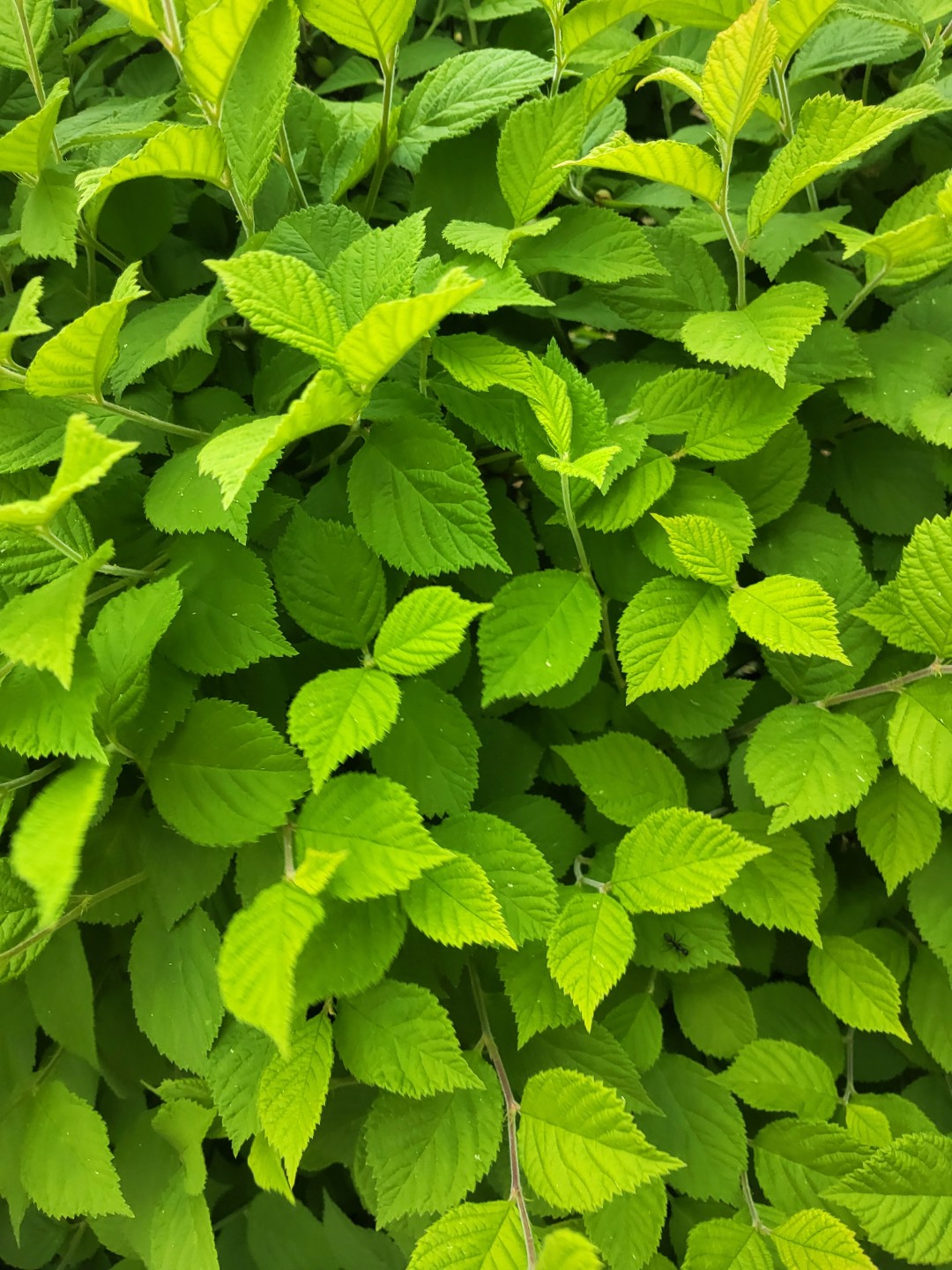 Post image 3
