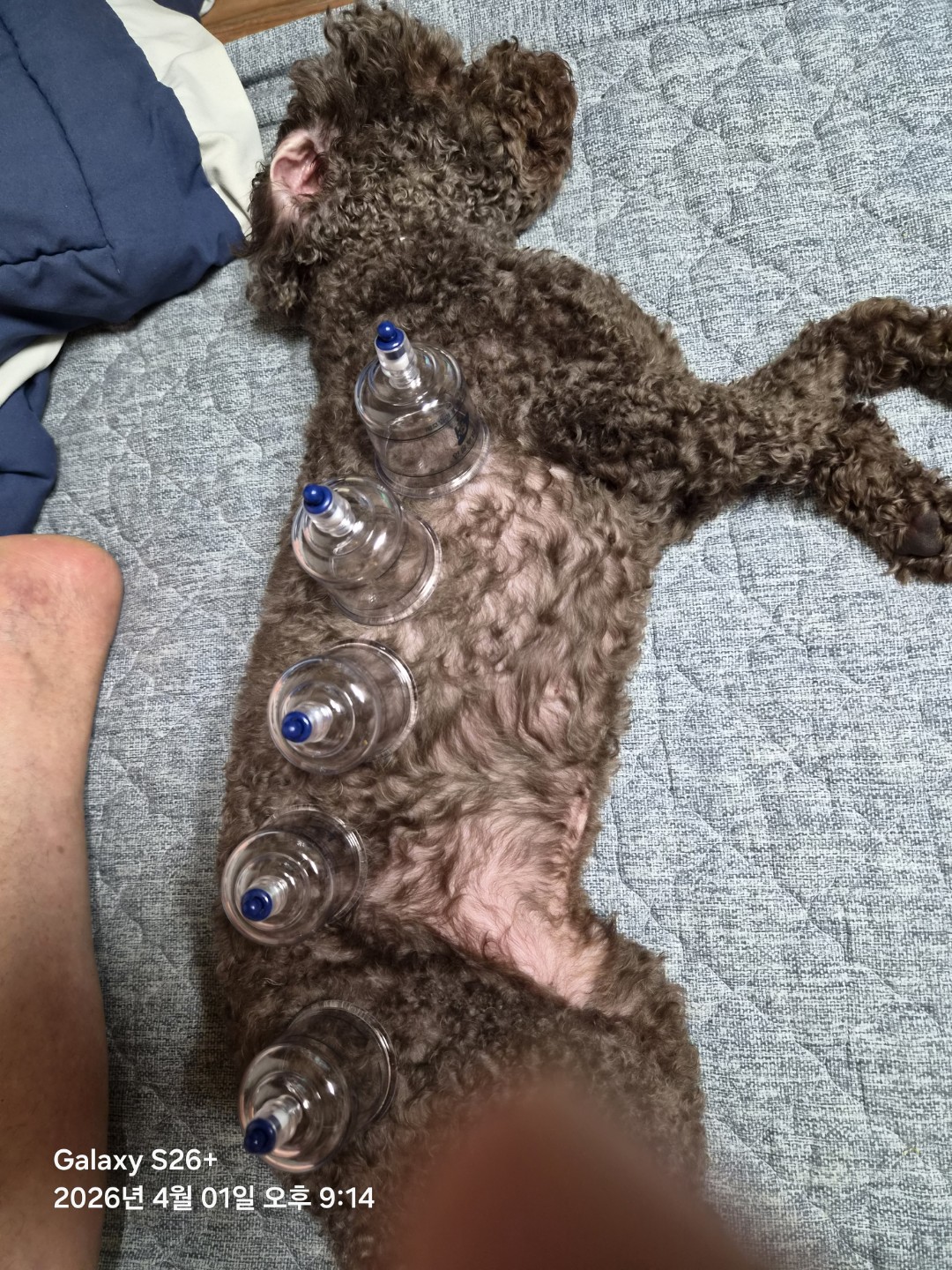 Post image 7
