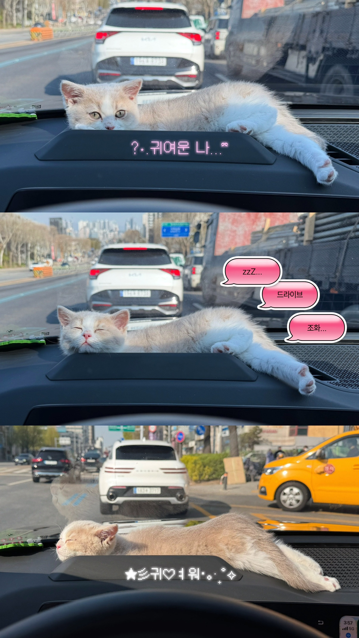 Post image 6