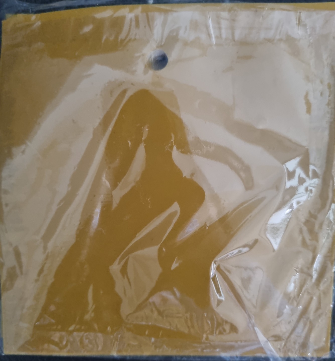 초파리 싫어요~