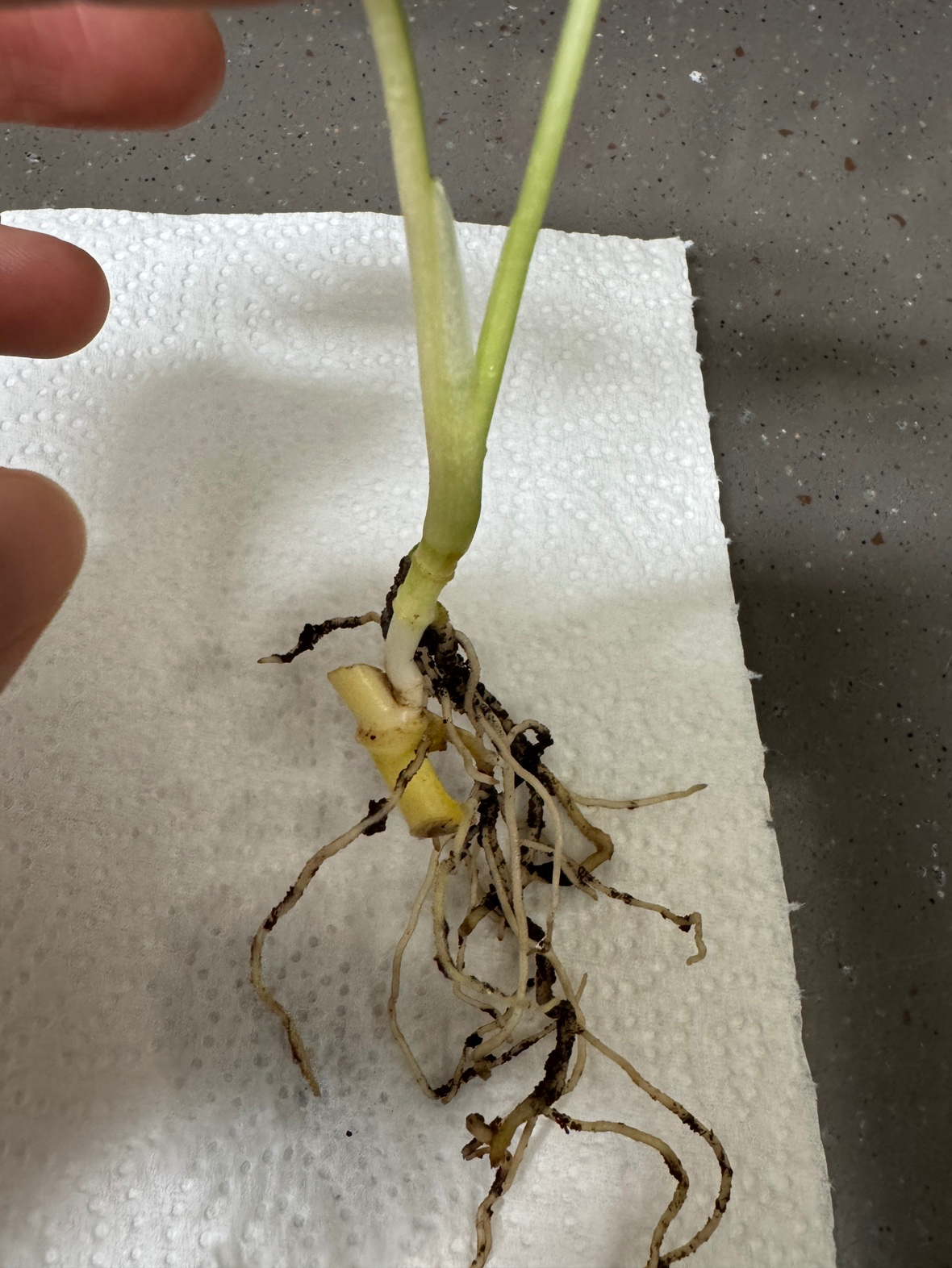 Post image 6
