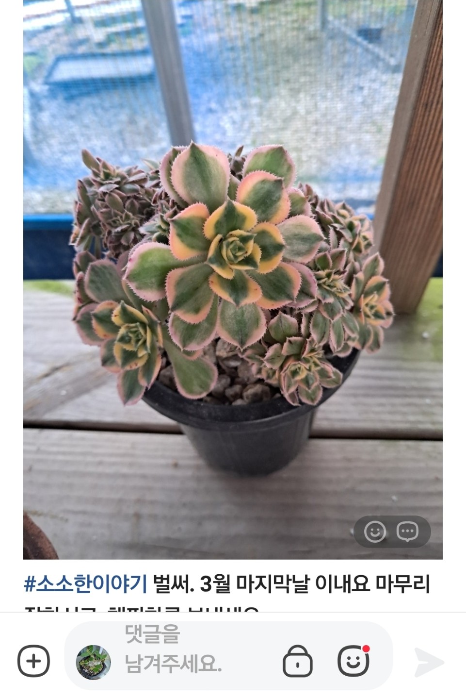 Post image 3