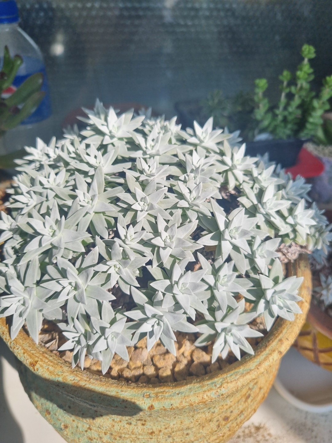 Post image 7