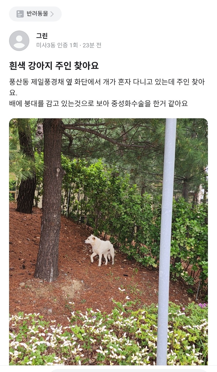Post image 7