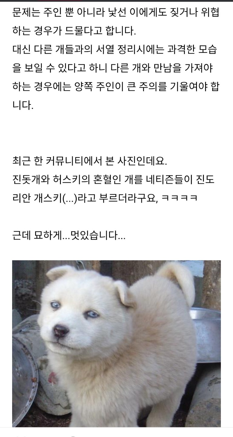 Post image 10