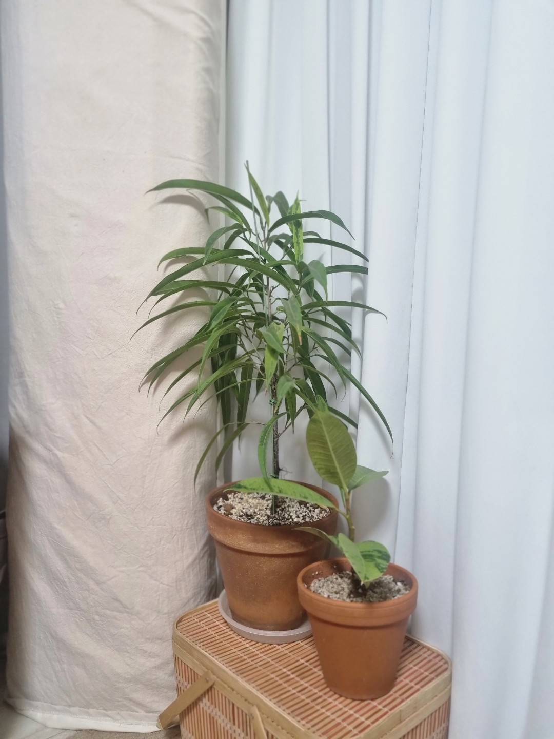 Post image 5
