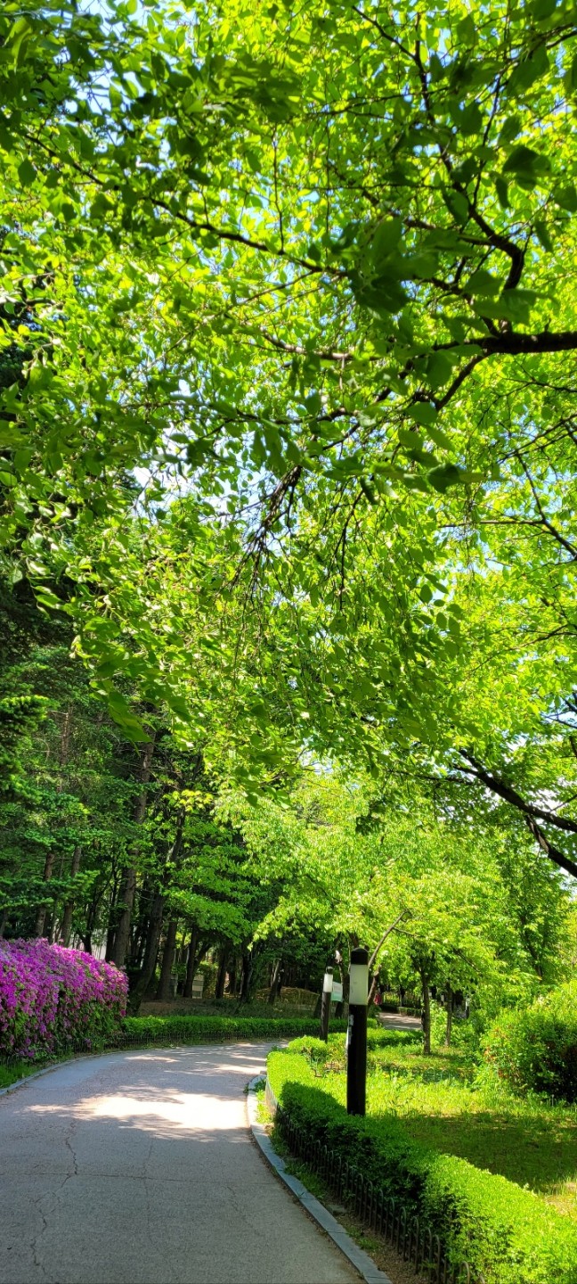 일산 정발산 근처라는데...