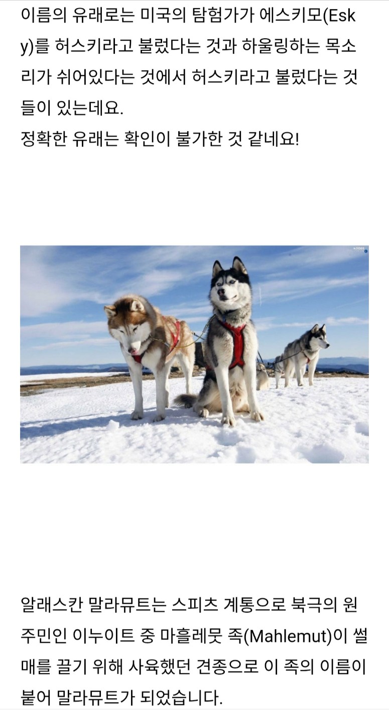 Post image 5
