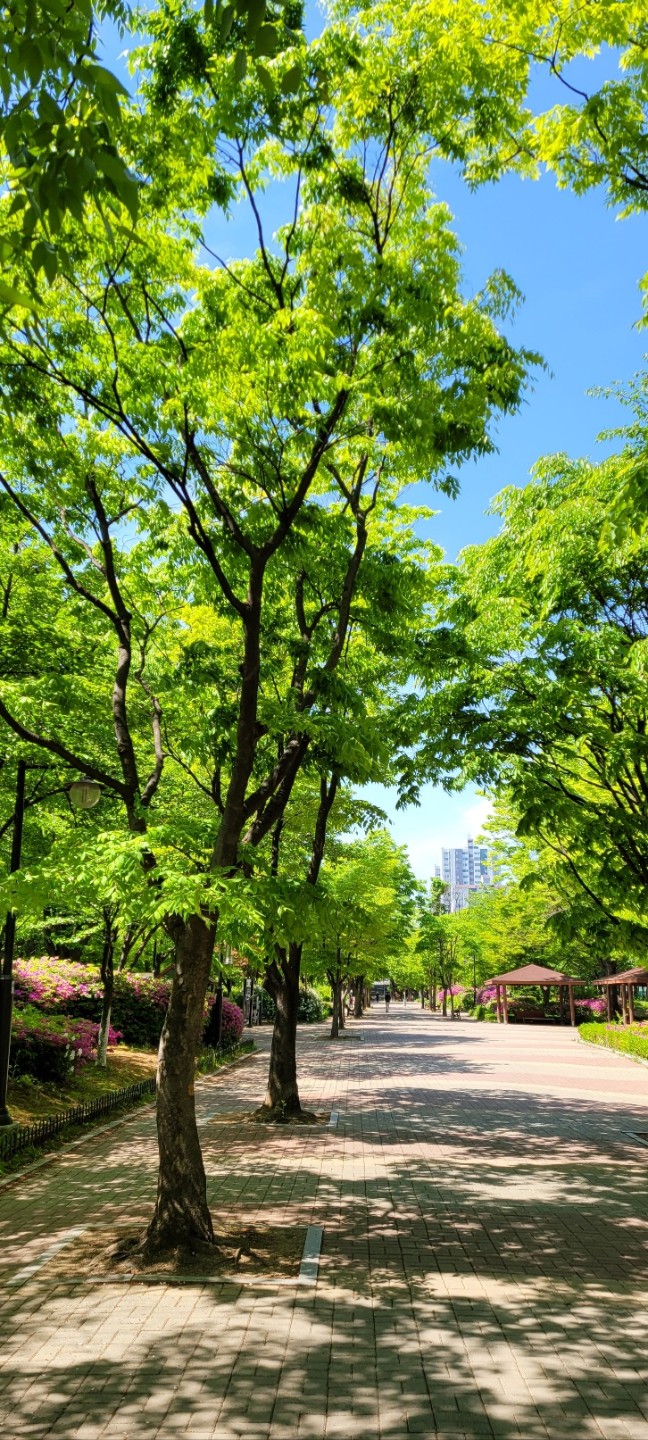 일산 정발산 근처라는데...