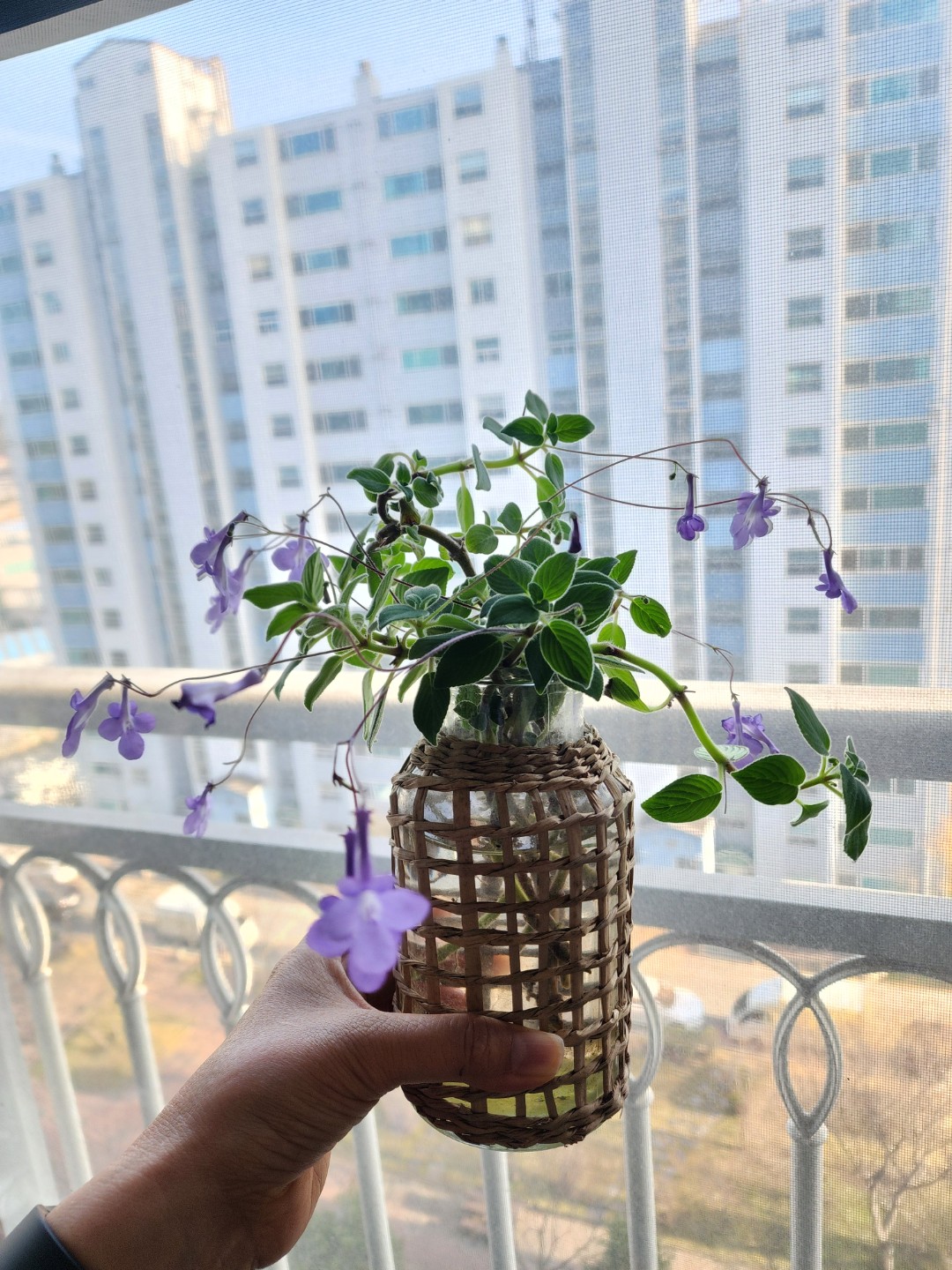 Post image 18