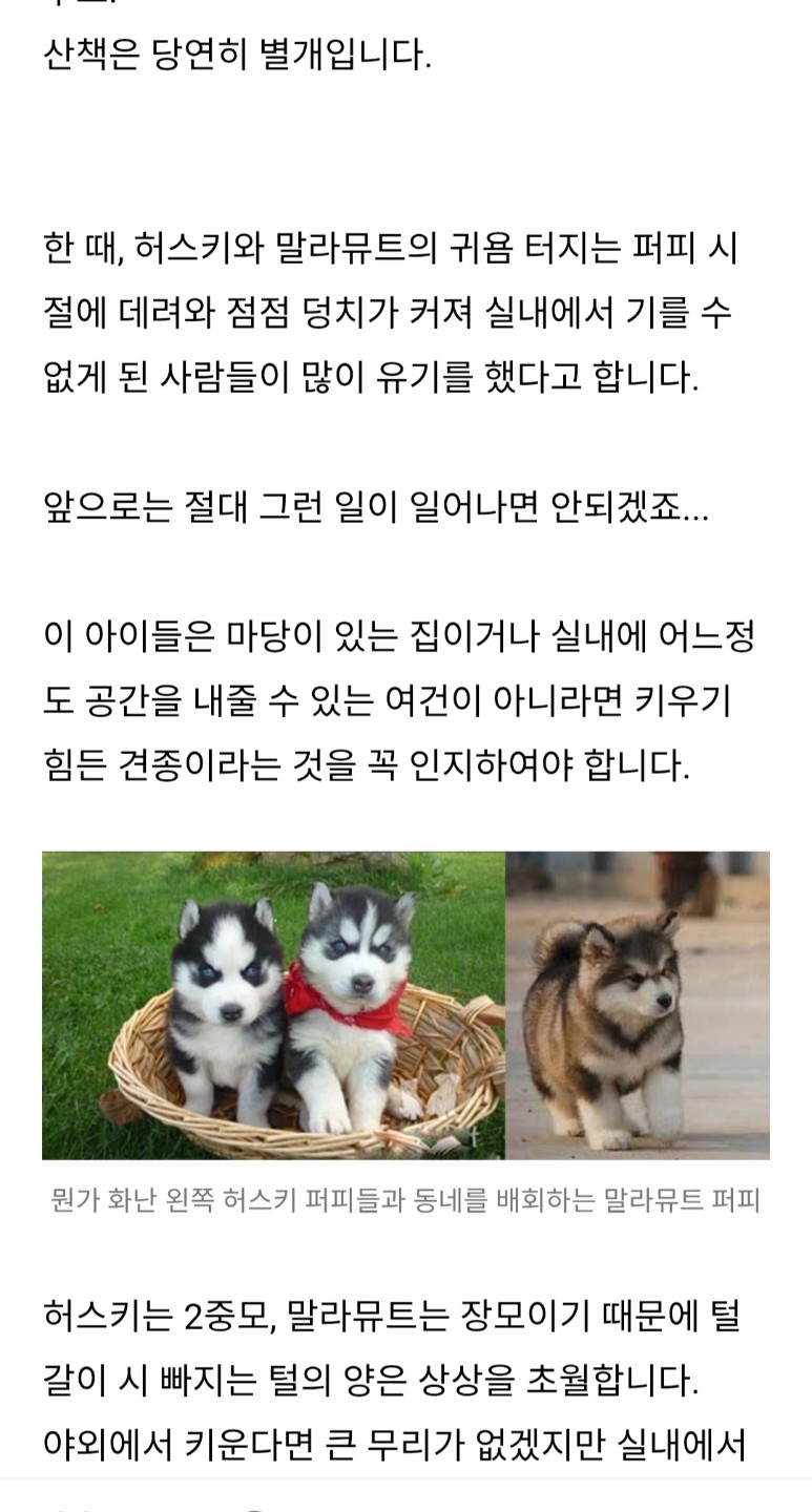 Post image 7