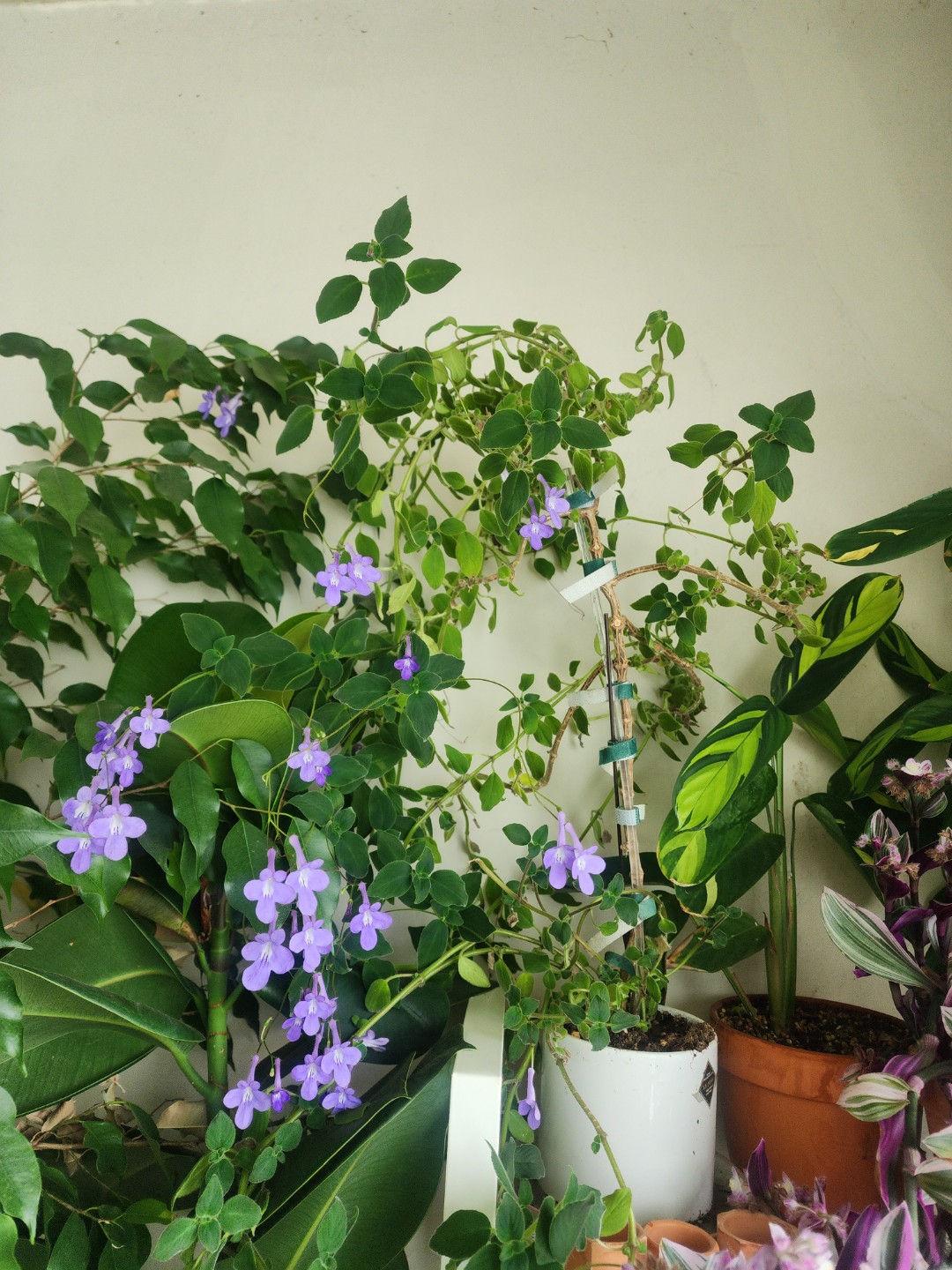 Post image 9
