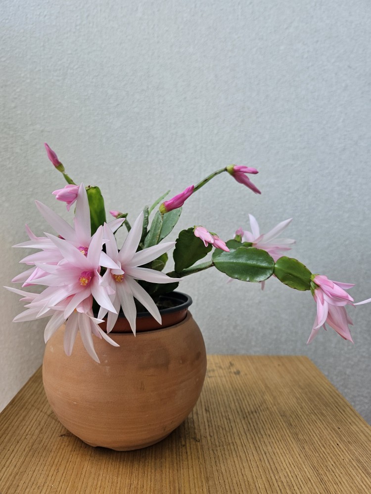 Post image 2