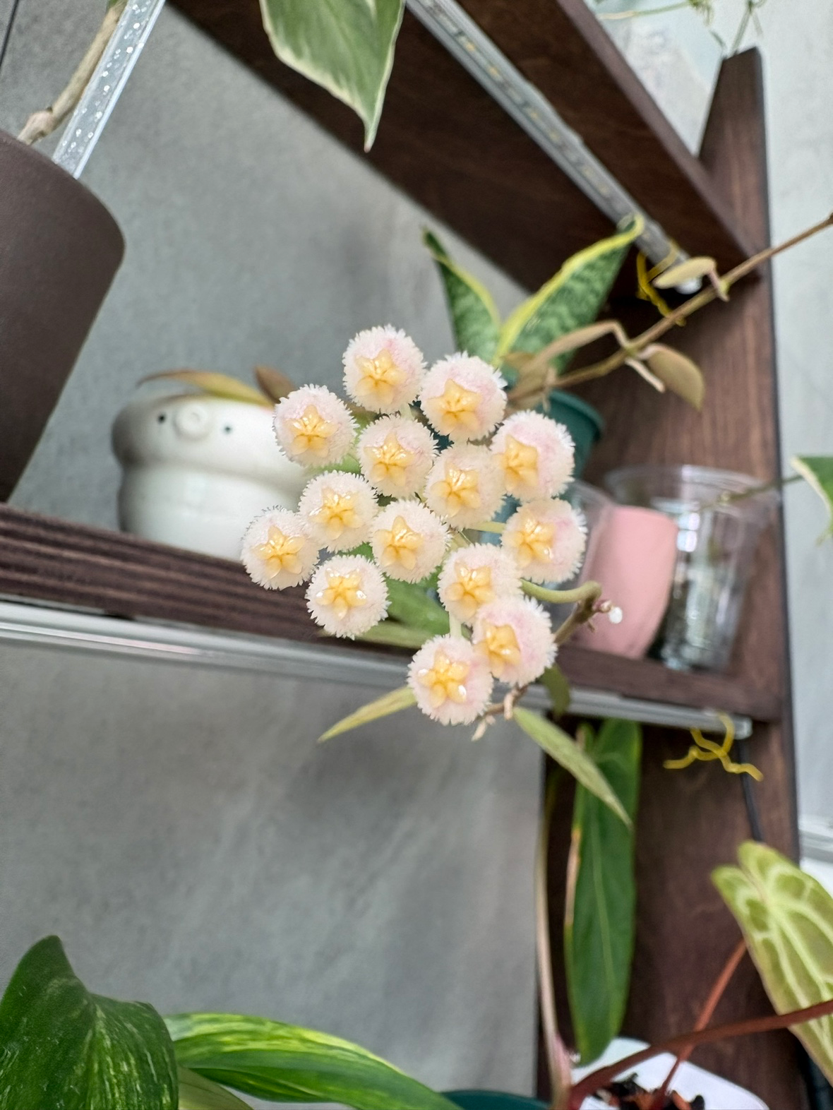 Post image 8