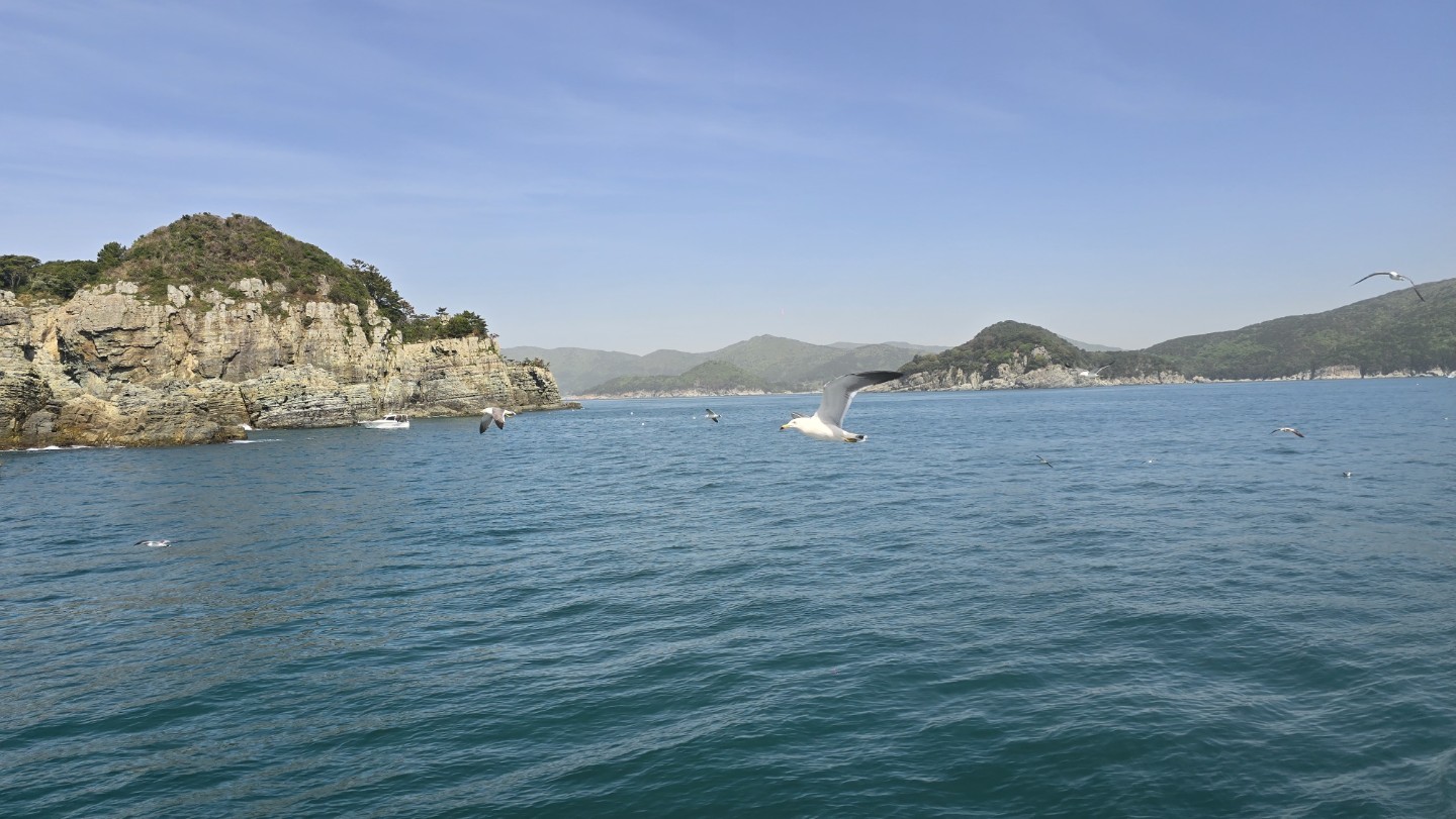 Post image 9