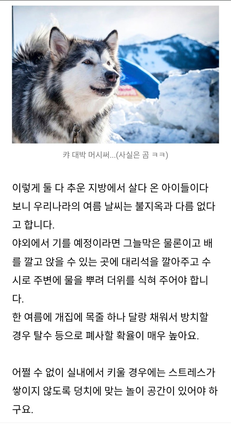 Post image 6