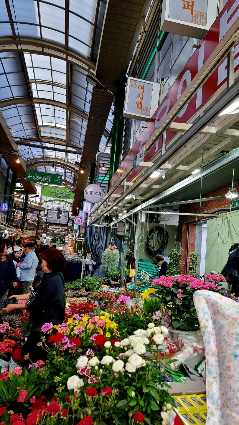 오늘 저녁은 뭐 드세요? 🍽️