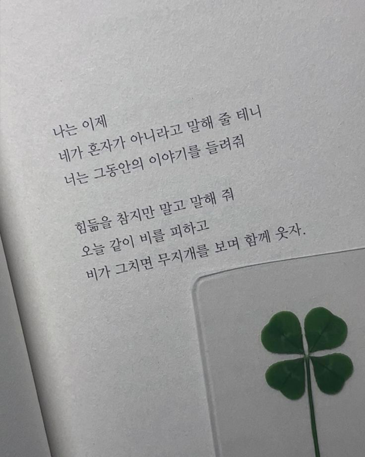 노동절 이벤트🎉