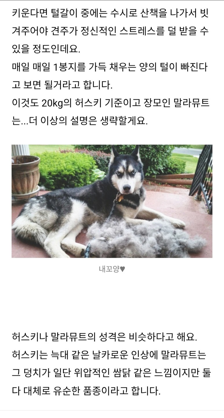 Post image 8