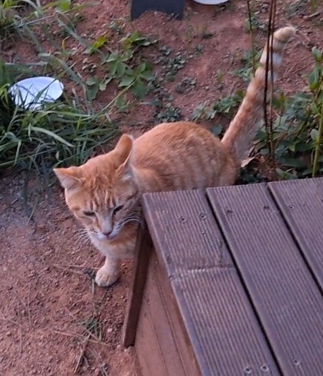 Post image 4