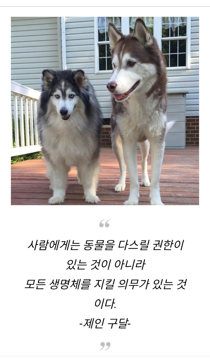 Post image 13
