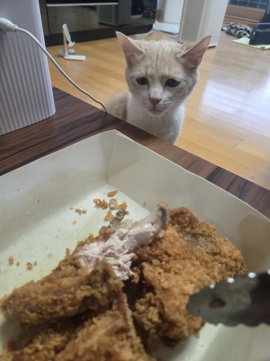 치킨 치킨 먹었어요.