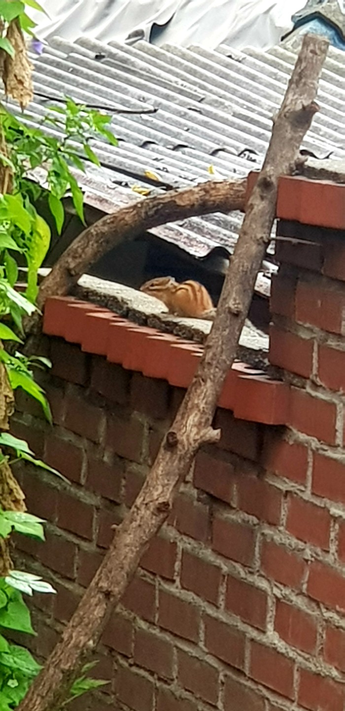 적잖은ᆢ