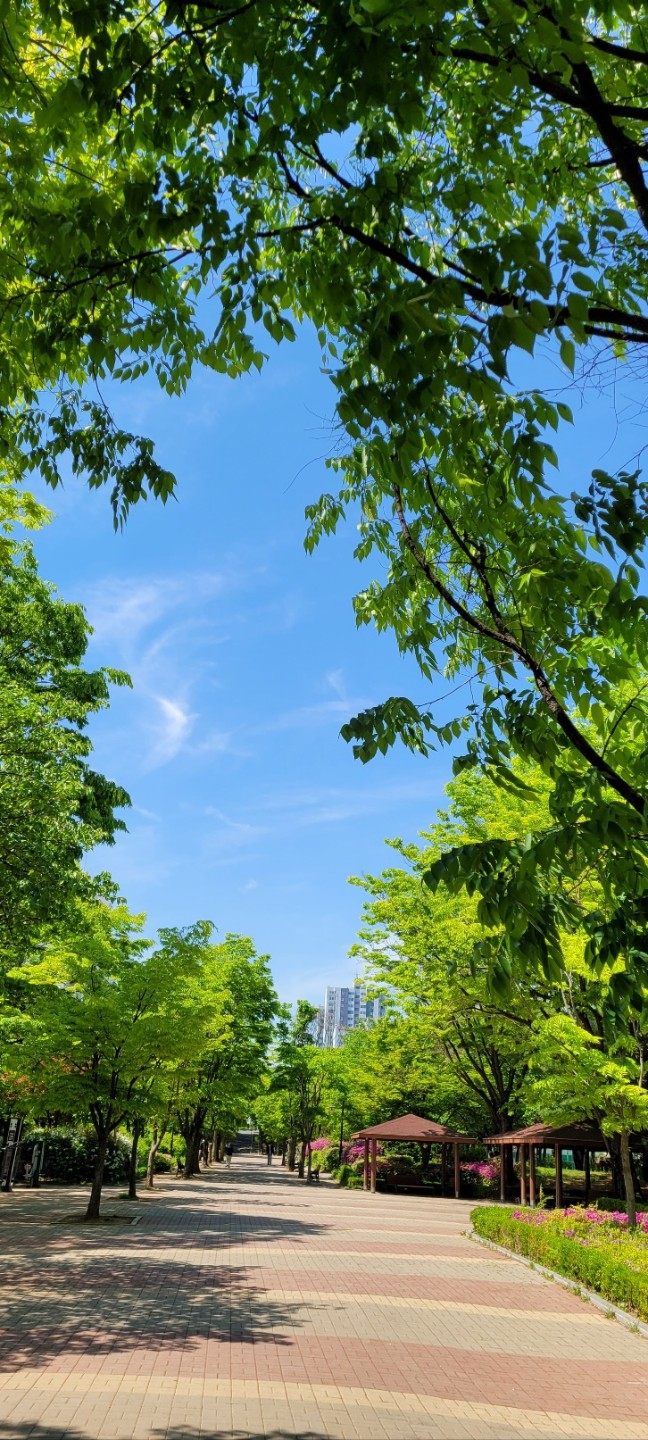 일산 정발산 근처라는데...