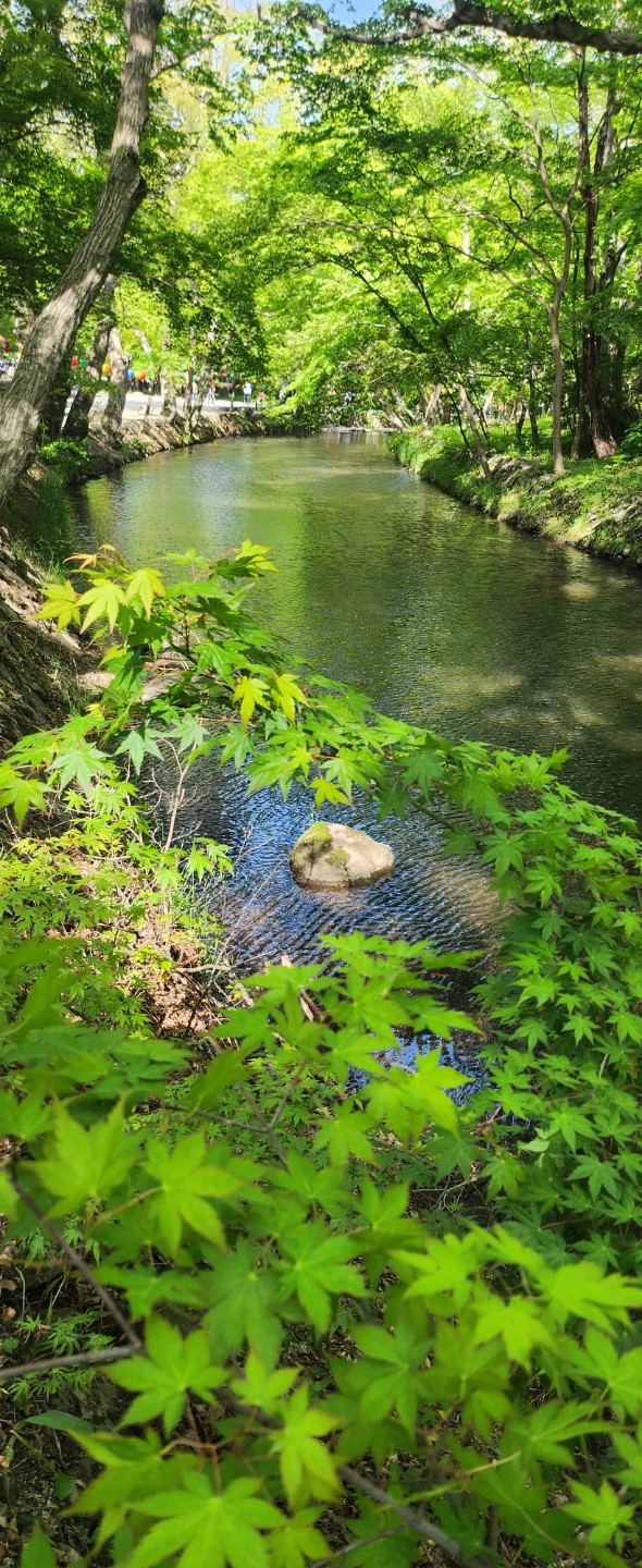 Post image 21