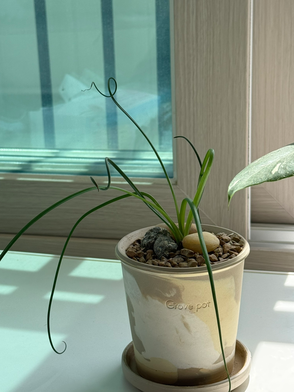 Post image 5